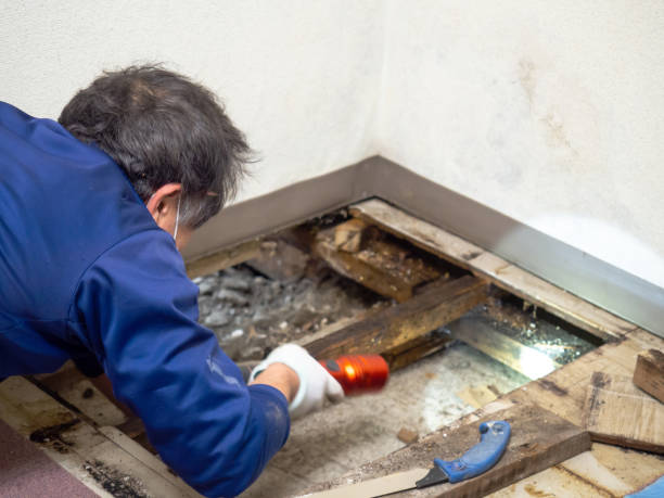 Best Mold Testing  in Grandview Heights, OH