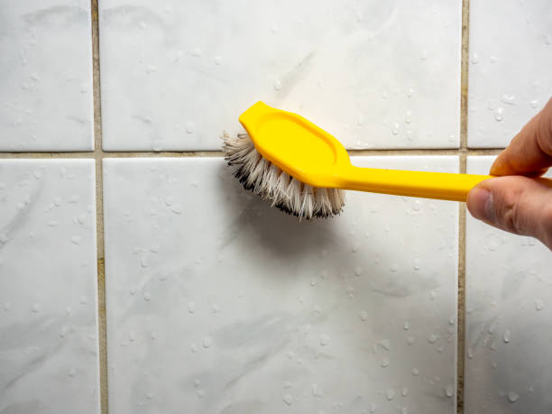 Best Mold Removal Near Me  in Grandview Heights, OH