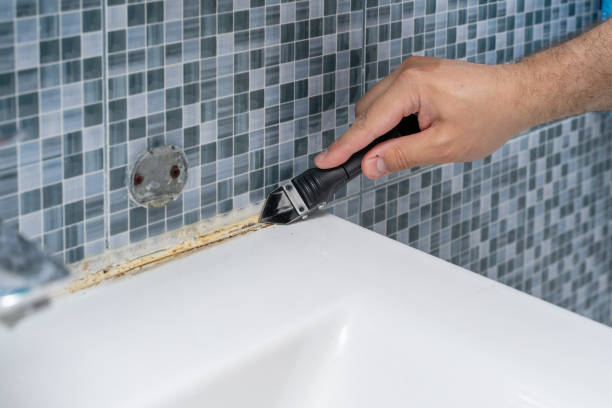 Best Mold Cleaning Services  in Grandview Heights, OH